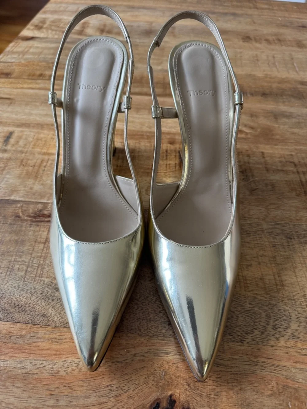 Theory sleek metallic shoes